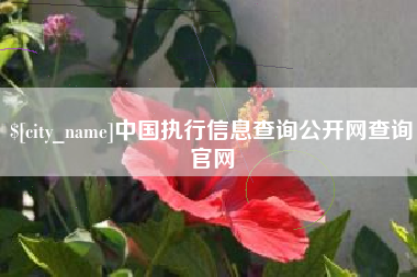 云梦中国执行信息查询公开网查询官网