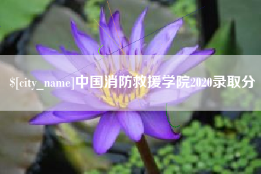 云梦中国消防救援学院2020录取分
