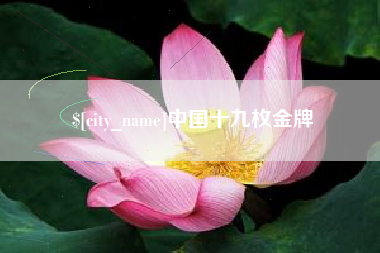云梦中国十九枚金牌