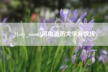 云梦河南消防大学分数线