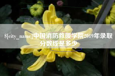 云梦中国消防救援学院2019年录取分数线是多少