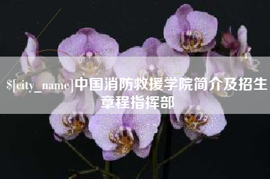 云梦中国消防救援学院简介及招生章程指挥部