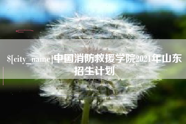 云梦中国消防救援学院2021年山东招生计划