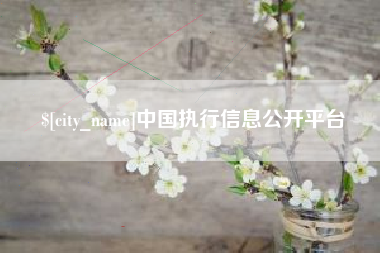 云梦中国执行信息公开平台