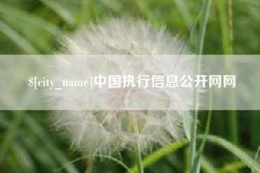 云梦中国执行信息公开网网