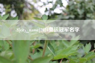 云梦2024奥运冠军名字