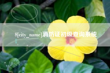 云梦消防证初级查询系统