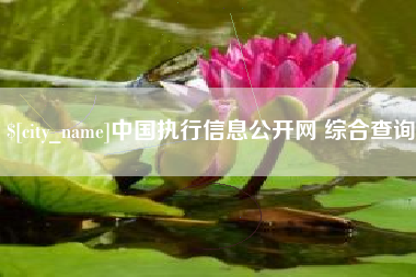 云梦中国执行信息公开网 综合查询