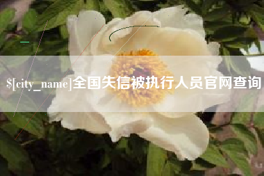 云梦全国失信被执行人员官网查询