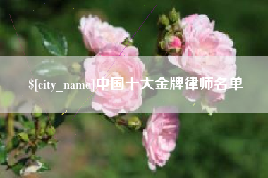 云梦中国十大金牌律师名单
