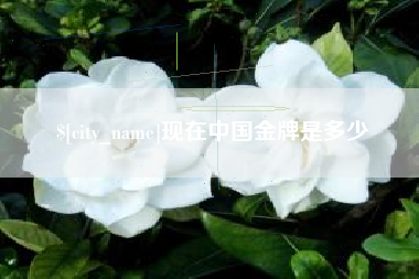 云梦现在中国金牌是多少
