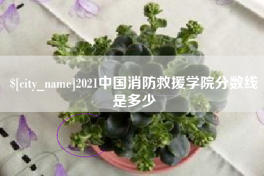 云梦2021中国消防救援学院分数线是多少