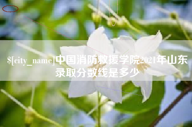 云梦中国消防救援学院2021年山东录取分数线是多少
