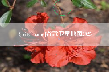 云梦谷歌卫星地图2025