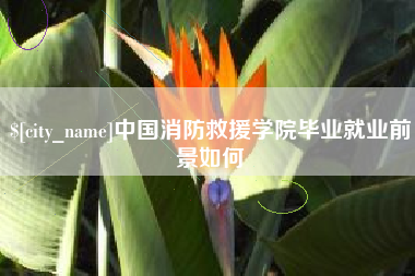 云梦中国消防救援学院毕业就业前景如何