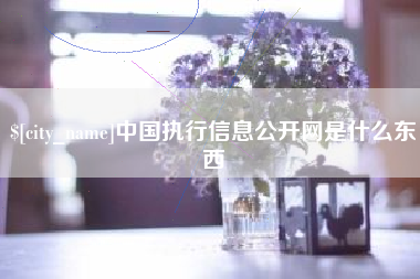 云梦中国执行信息公开网是什么东西