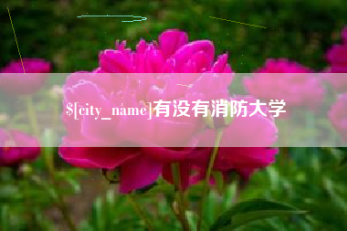 云梦有没有消防大学