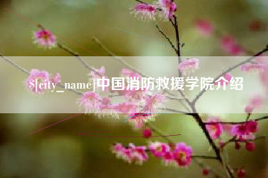 云梦中国消防救援学院介绍