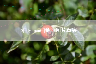 云梦金牌图片真实