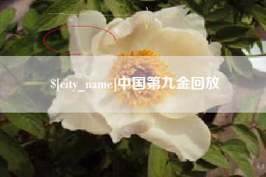 云梦中国第九金回放