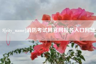 云梦消防考试网官网报名入口网址