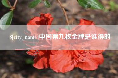 云梦中国第九枚金牌是谁得的