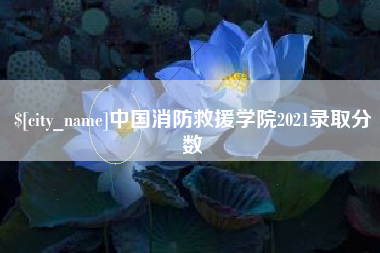 云梦中国消防救援学院2021录取分数