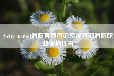 云梦消防官网查询系统查询消防职业资格证书