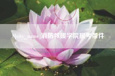 云梦消防救援学院报考条件