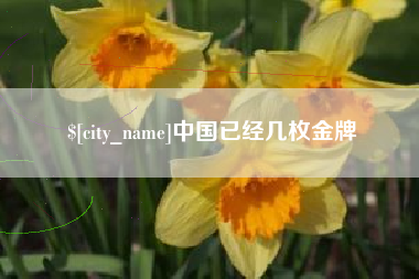 云梦中国已经几枚金牌