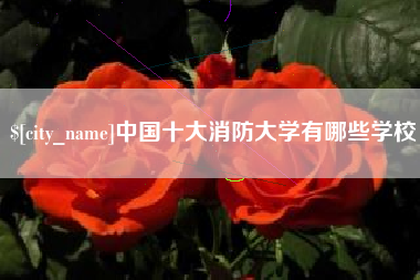 云梦中国十大消防大学有哪些学校