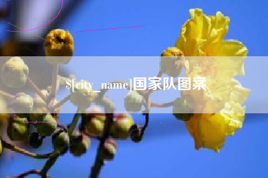 云梦国家队图案