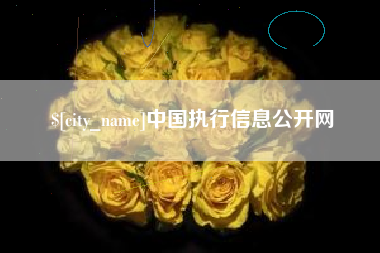 云梦中国执行信息公开网