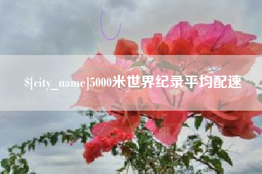 云梦5000米世界纪录平均配速
