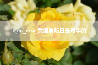 云梦我国消防日是每年的