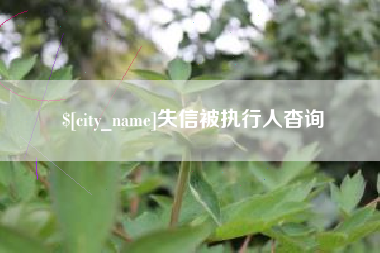 云梦失信被执行人杳询