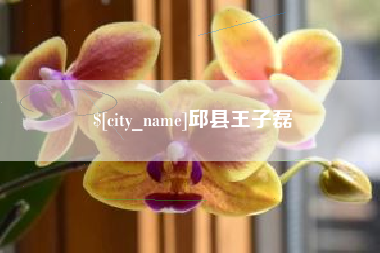 云梦邱县王子磊