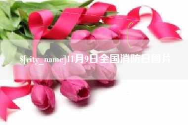 云梦11月9日全国消防日图片