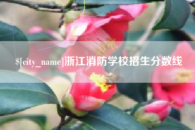 云梦浙江消防学校招生分数线