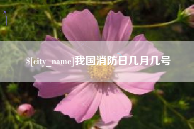 云梦我国消防日几月几号