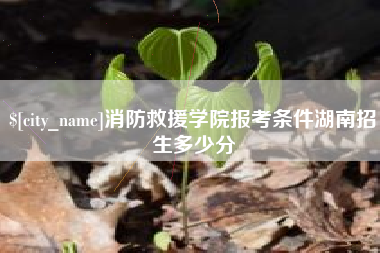 云梦消防救援学院报考条件湖南招生多少分