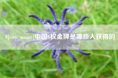 云梦中国6枚金牌是哪些人获得的