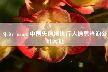云梦中国失信被执行人信息查询公开网址