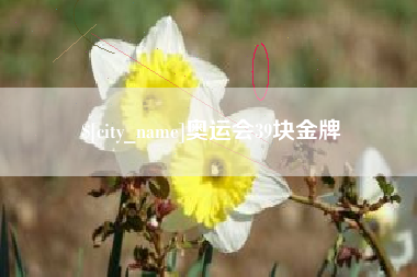云梦奥运会39块金牌