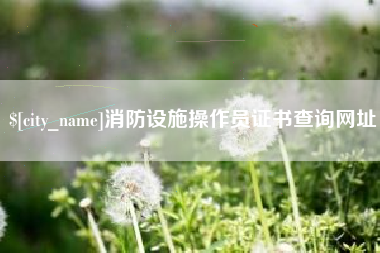 云梦消防设施操作员证书查询网址