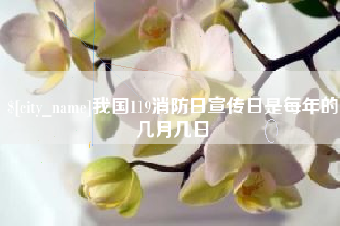 云梦我国119消防日宣传日是每年的几月几日