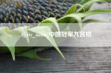 云梦中国冠军九宫格