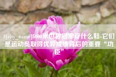 云梦5000米世界冠军穿什么鞋-它们是运动员取得优异成绩背后的重要“功臣”