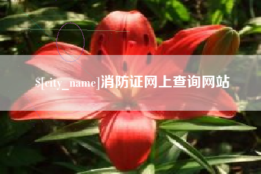 云梦消防证网上查询网站