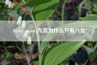云梦九宫为什么只有八卦
